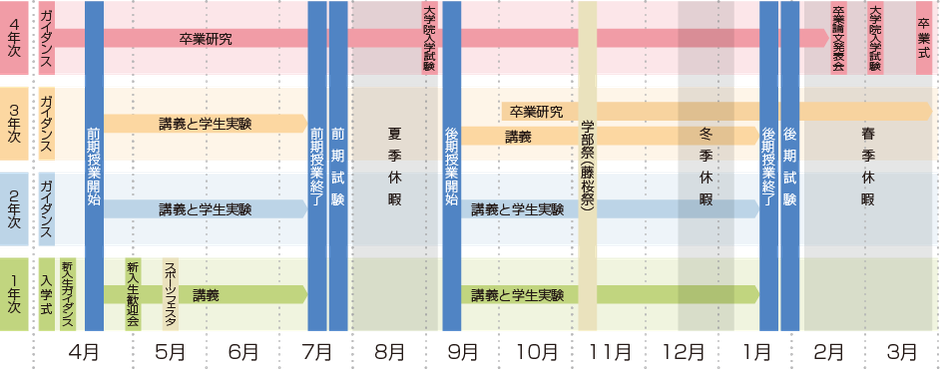 学修の流れ（1〜4年次）