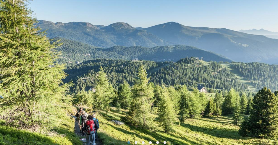Wandern Turracherhöhe, Zirnbenwald, Zirbenwald Wandern, Seerundweg Turracher Höhe, Alpenjuwele, Alpenjuwel
