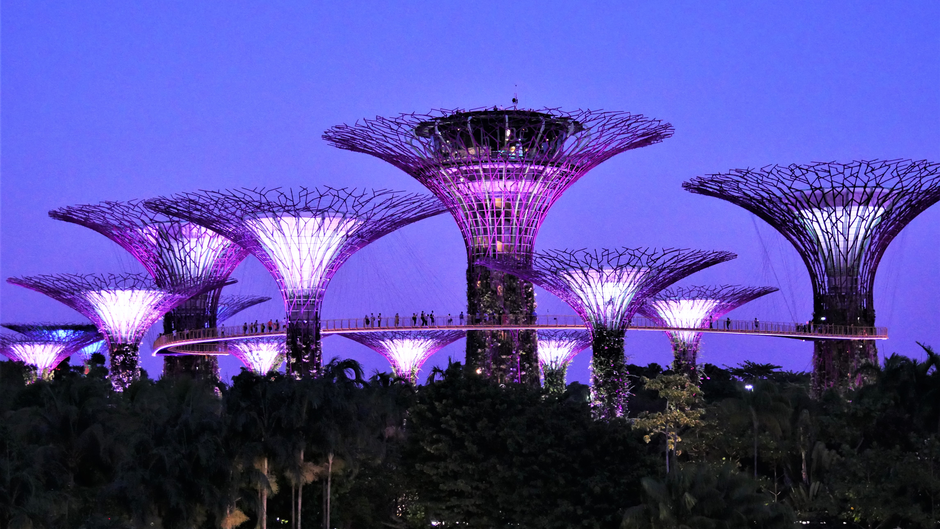  Malaysia Rundreise ab Singapur: Die Supertrees in den Gardens by the Bay