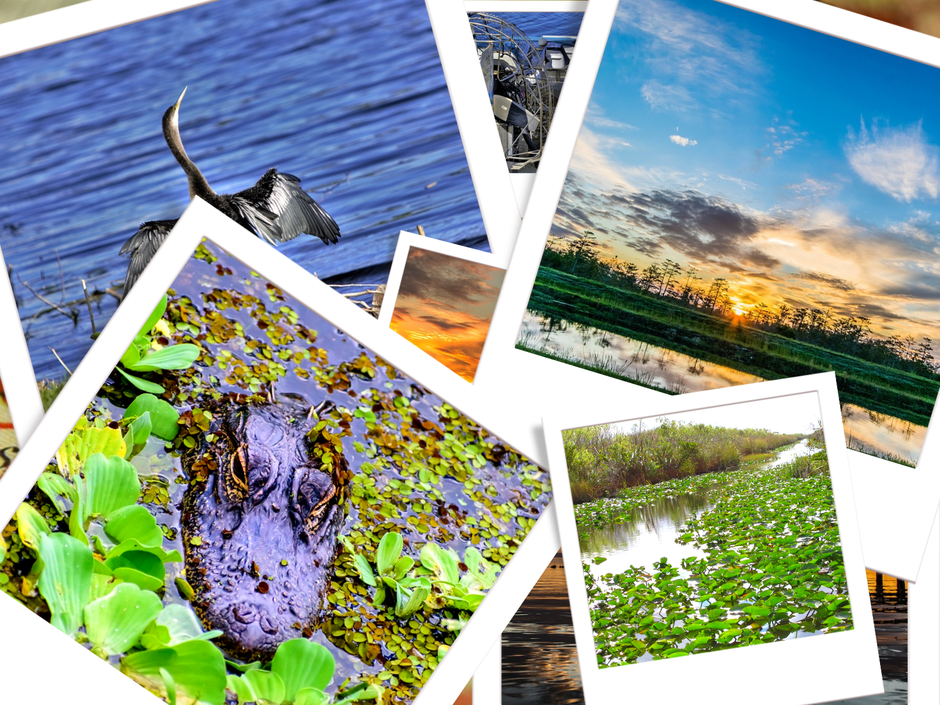 Everglades Nationalpark Florida Sehenswürdigkeiten & Tipps 