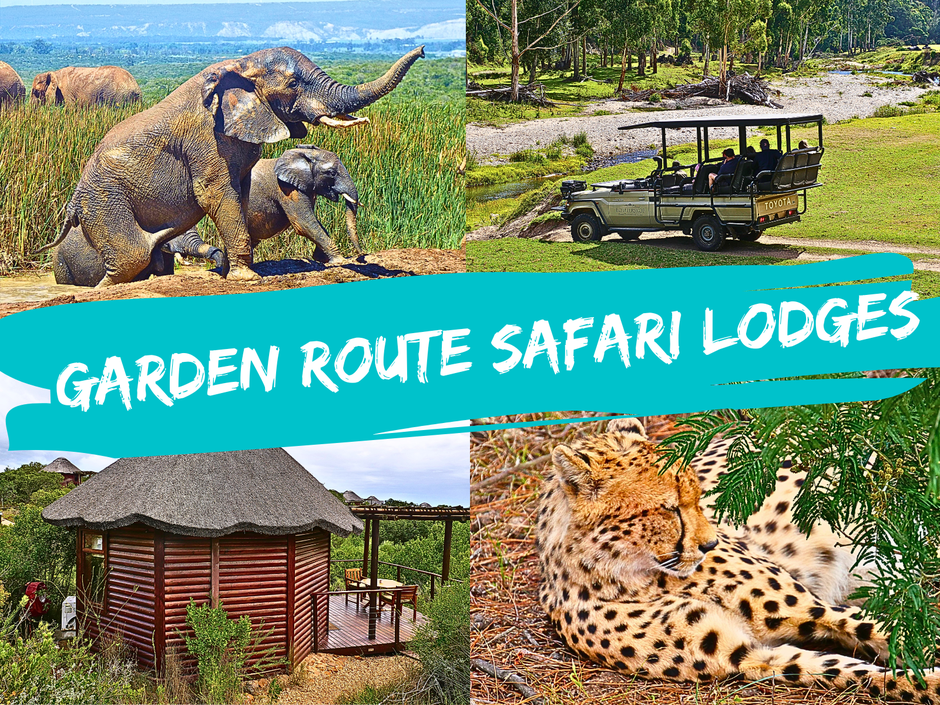 Garden Route Safari Camps & Game Lodges: Empfehlungen & Tipps