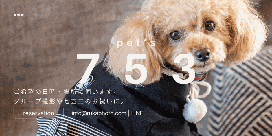 ワンちゃんの七五三やグループ撮影に