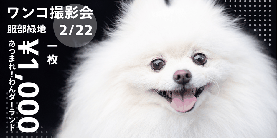 2025/2/22は、1000円撮影会！