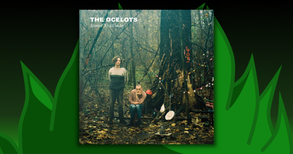 The Ocelots - Started To Wonder