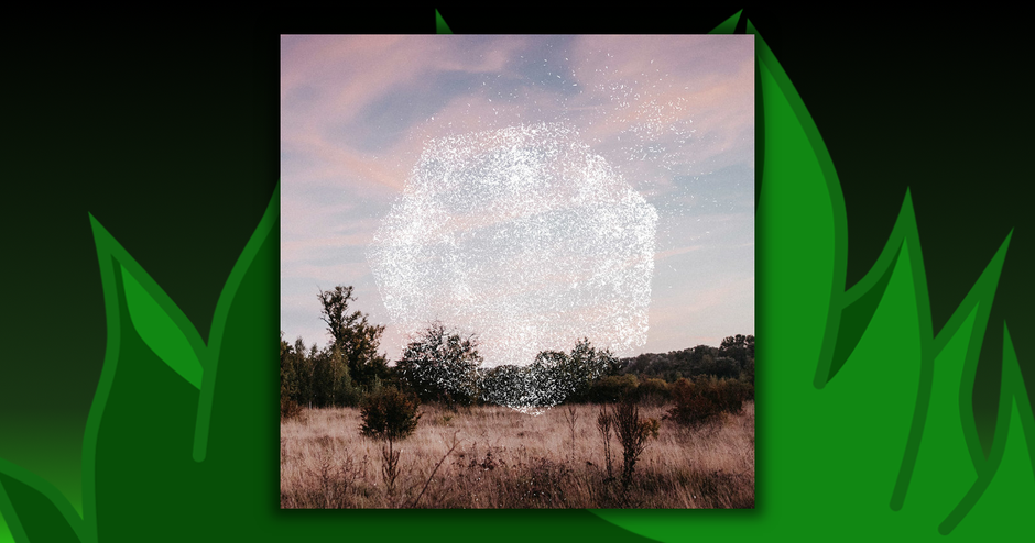 Bernhard Eder - Reset