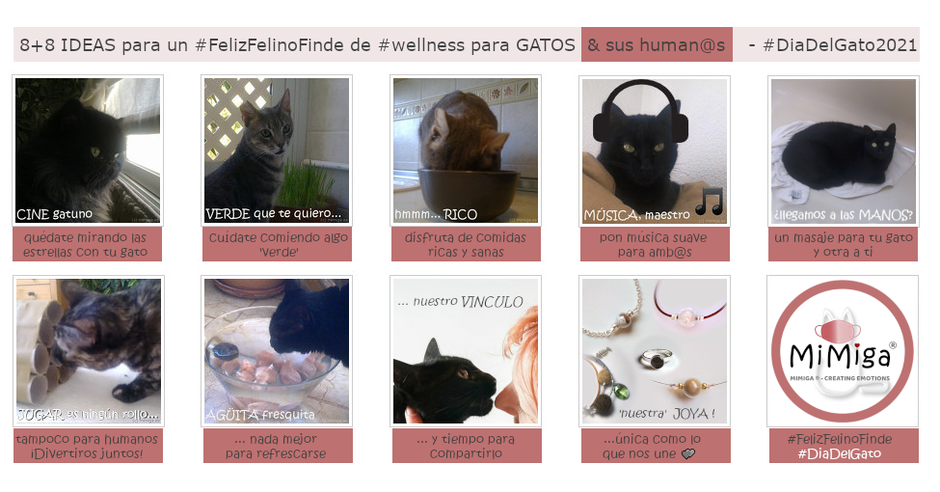 8+8 ideas #FelizFelinoFinde #wellness para Gatos & sus human@s - #DíaDelGato2021