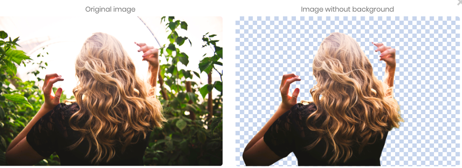 Comparatif 3 solutions pour d tourer une image Comparatif 3 solutions pour d tourer une image