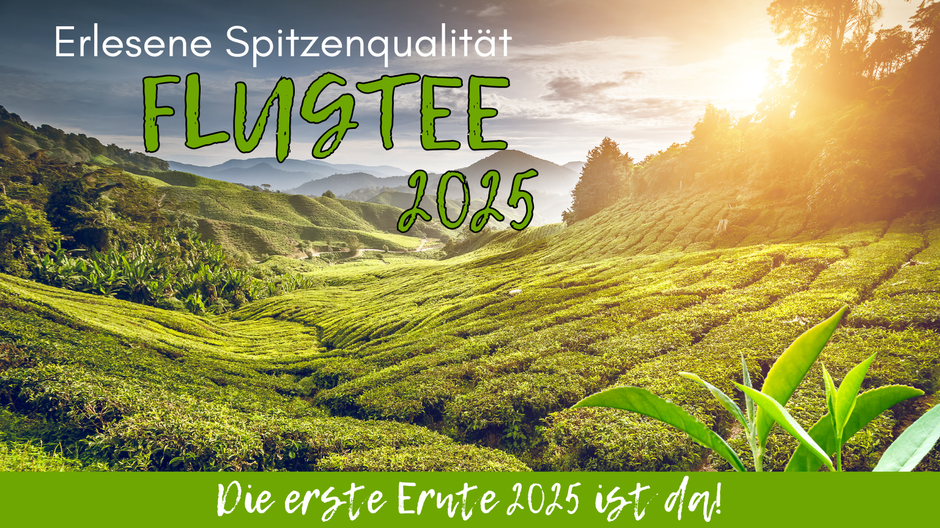 Flugtee 2025