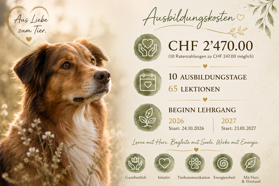 fundiertes Wissen, praxisnahes Lernen und ganzheitliche Begleitung.