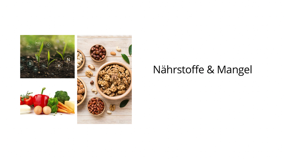 haarwuchsspezialist, yelasai, ganzheitlich haarausfall, kopfhautjucken, kopfhautprobleme, haarausfall,kopfhautbehandlung, Haarausfallexperte nrw, Haarausfall NRW, Kopfhautspezialist nrw, Kopfhautbehandlungen NRW, Headspa NRW, Japanese headspa nrw