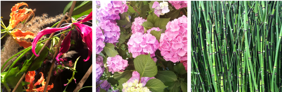 Komp Floristik, Blumengeschäft in Bonn Endenich, Schnittblumen, Hochzeitsblumen, Wohndeko, Trauerfloristik, Tisch- & Raumschmuck