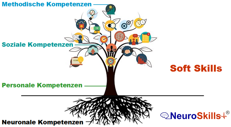 Ein Kompetenz-Baum mit NeuroSkills als Wurzeln als Voraussetzung von Soft Skills-Erweiterungen