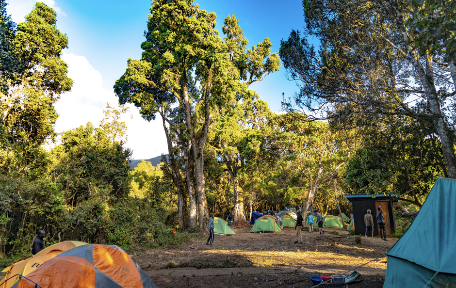 Besteigung Kilimanjaro in Tansania für Vater und Sohn