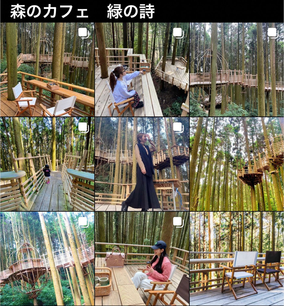 白糸の森