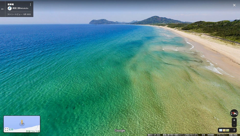 奇跡の流木 鮫モデル流木