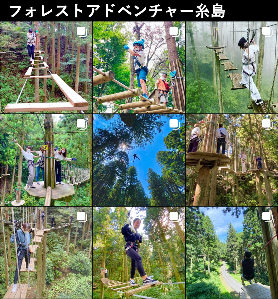 フォレストアドベンチャー糸島