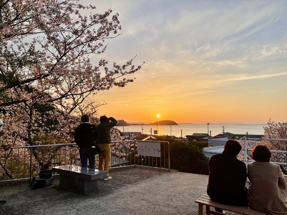 桜の名所