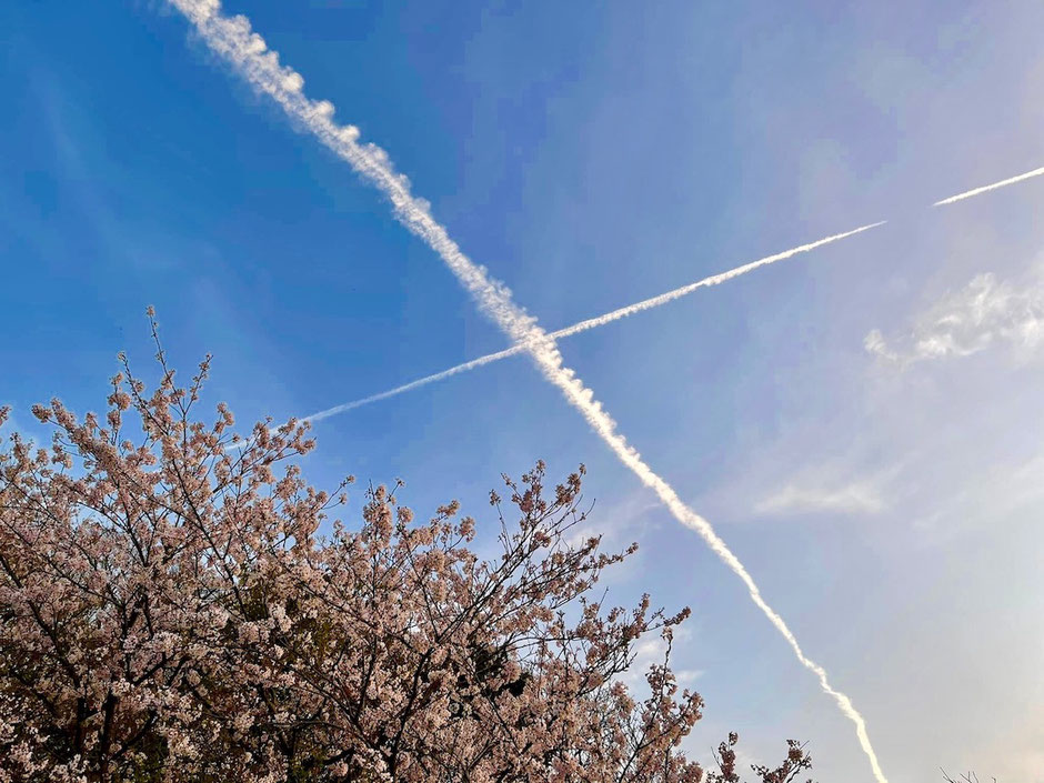 交差する飛行機雲