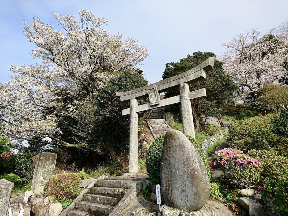 鳥居と階段　Spiritual hill