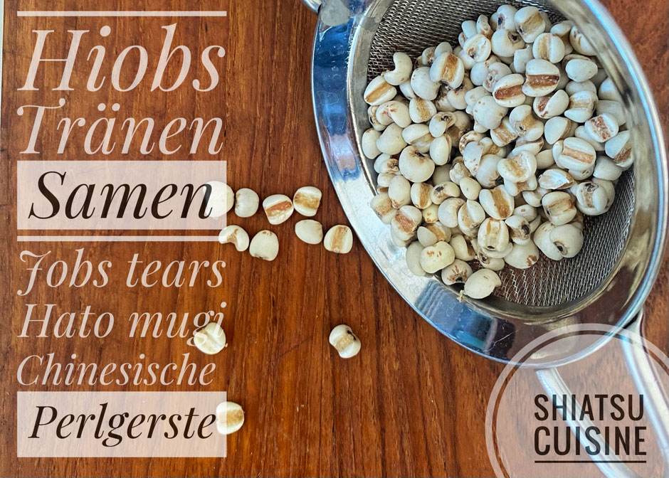 Traditionelle Chinesische Medizin | Heilpraktikerin Charlotte Sachter - Hamburg