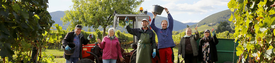 Weingut Hubert Müller Maikammer: Schnaps, Likör, Edelbrände und Spitzenweine aus der Pfalz