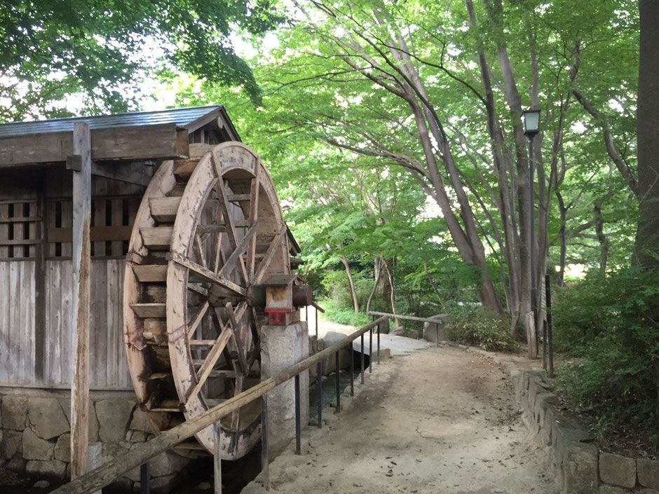 Onta Nobidome Water Mill Tokyo Higashimurayama Nobidomeyosui waterway canal aqueduct walking hearing refresh sightseeing tourist spot TAMA Tourism Promotion - Visit Tama　恩多野火止水車苑　東京都東村山市　野火止用水　散策　癒し　リフレッシュ　観光スポット　多摩観光振興会