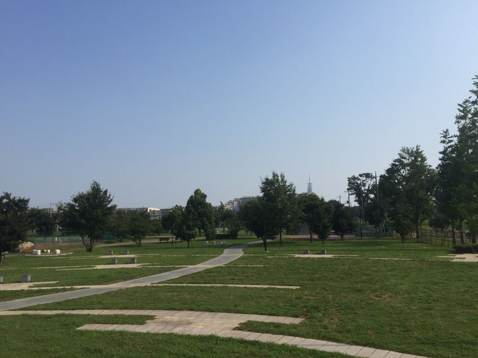 Rokusen Park Tokyo Higashikurume walking picnic tourist spot TAMA Tourism Promotion - Visit Tama 　都立六仙公園　東京都東久留米市　散策　ピクニック　観光スポット　多摩観光振興会