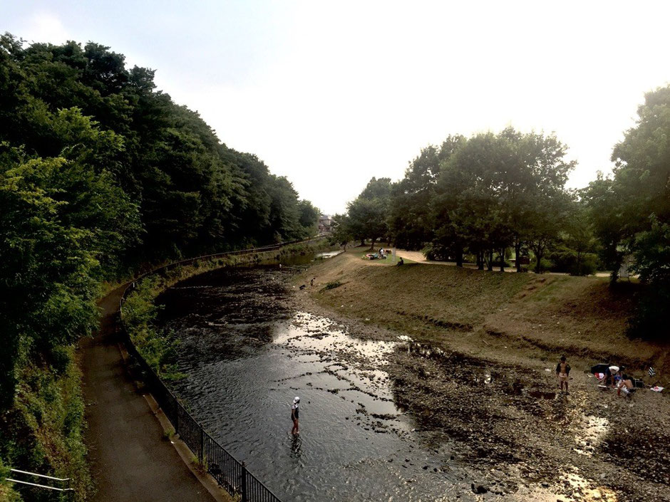   BBQ spot along Yanase River Kiyose Kaneyama Park Tokyo Kisyose nature outdoor picnic tourist spot TAMA Tourism Promotion - Visit Tama　バーベキュー　清瀬金山緑地公園　東京都清瀬市　自然　アウトドア　BBQ　ピクニック　観光スポット　多摩観光振興会