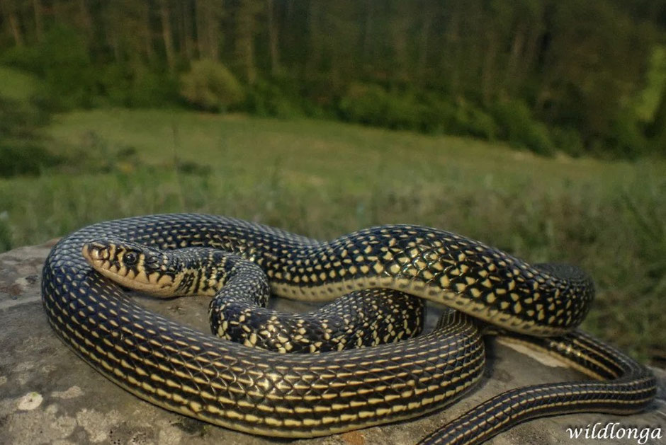How Do I Remove All Track Changes In Word Formatting How Do I Remove All Track Changes In Word Formatting