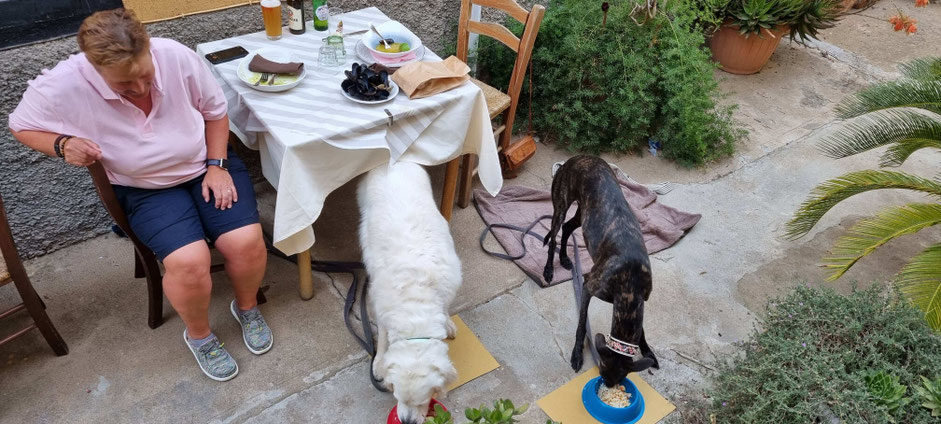 Hondvriendelijk restaurant op Elba met een speciaal hondenmenu
