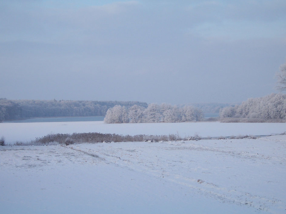 Lake Belau in Winter.