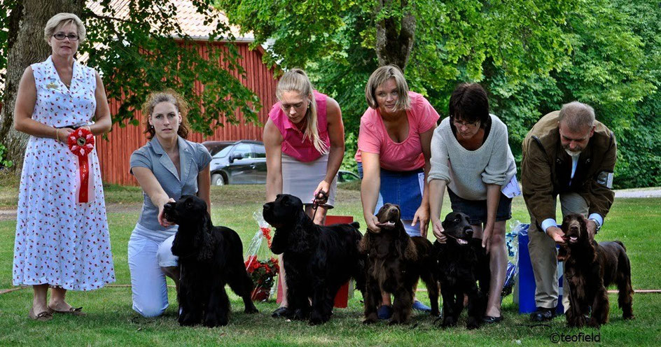 Best Offspring-group  "Törnskogens Tom Timmermann"