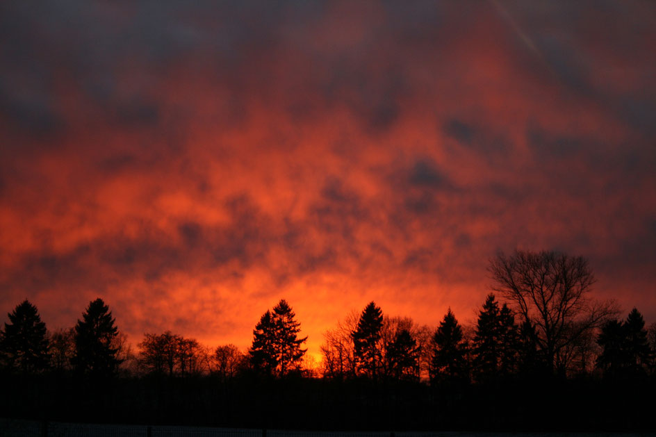 Dawn in the area of the Belauer See, Photo: Ulf F. Baumann