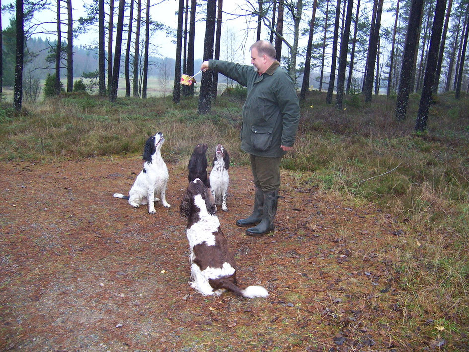 The dogs were really excited that I took notice of the treasure they had found, Photo: Ulf F. Baumann