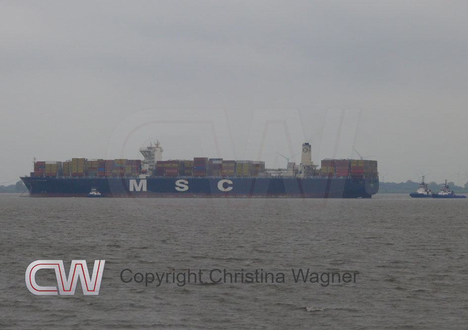 Die MSC REGULUS nach Notankerung auf der Elbe bei Glückstadt