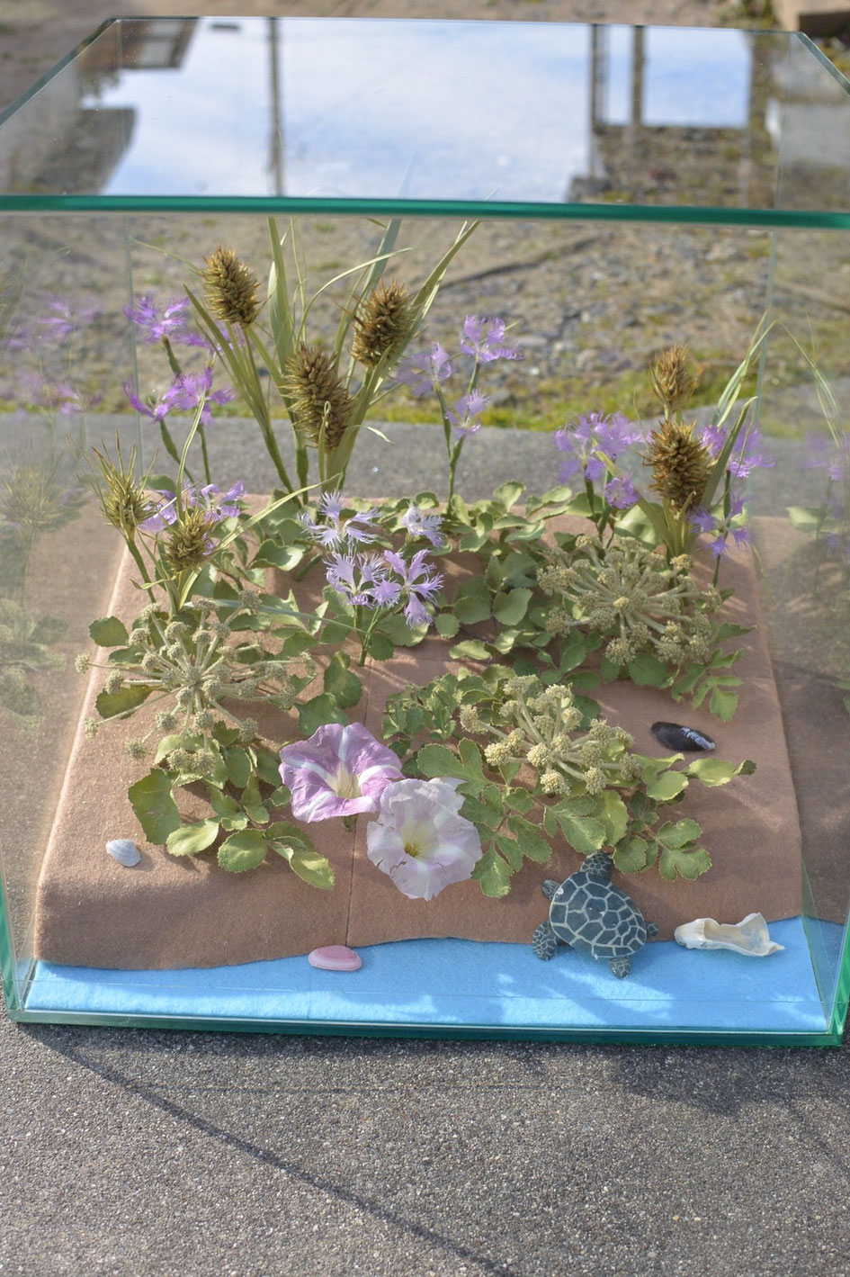 原色ドライフラワー 日本初！ 海浜植物を原色ドライフラワーで再現