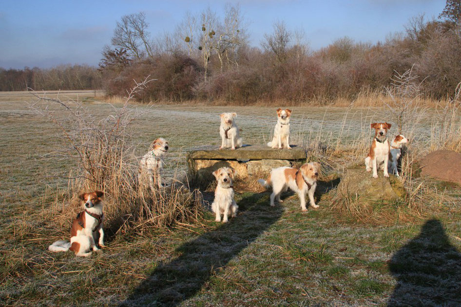 Gruppenfoto vom 58. Kromi-Spaziergang in Braunschweig am 20.01.2019