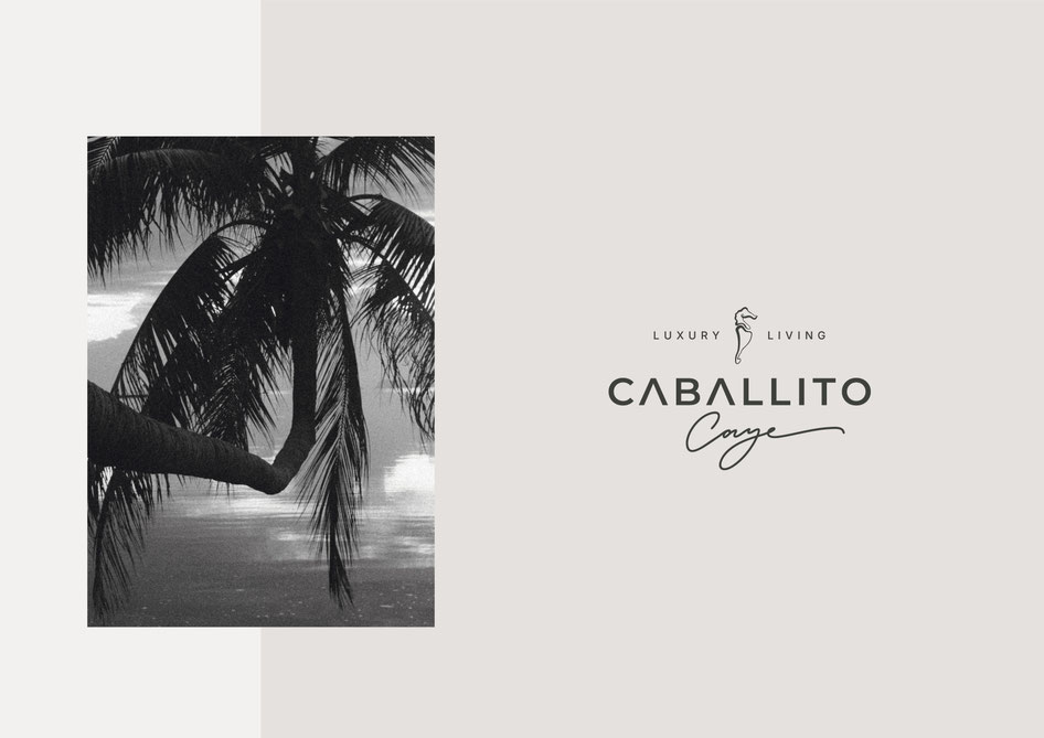 Luxury branding for a home on an isle in the Caribbean Sea, Belize, by Nina Fischer - Berlin