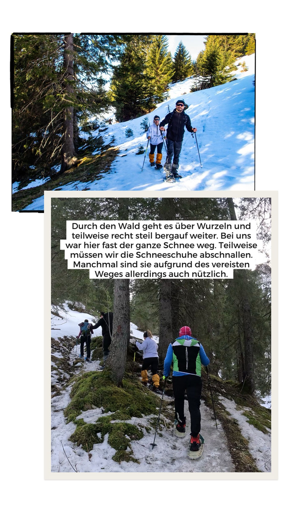Aufstieg durch den Wald bei der Schneeschuhwanderung zur Krinnenspitze