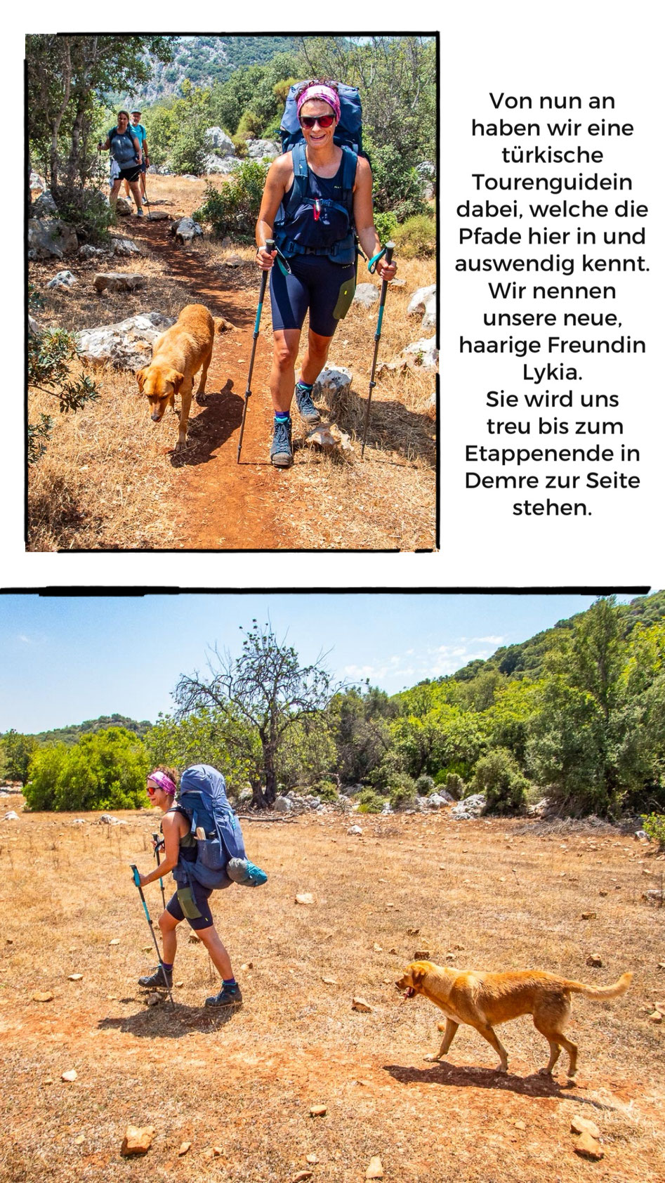 Mehrtagestrekking auf dem Lykischen Weg in der Türkei - wandern fernab der Zivilisation in einer traumhaften Landschaft umgeben von Meer, Klippen und Bergen. (hier: Etappe 11 von Ücagiz nach Demre/Andriake)