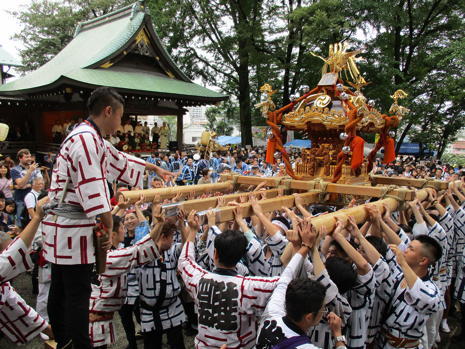 北澤八幡神社 御鎮座550記念 例大祭, 宮神輿渡御, 2018年9月1日-2日