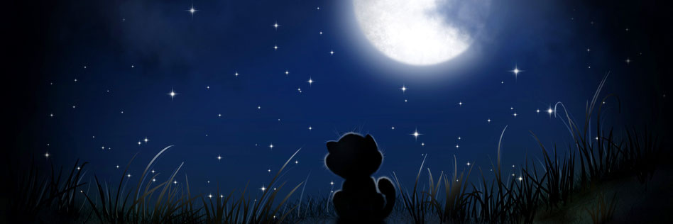 Freies Bild von Pixabay. Gezeichnet im Comicstil. Nacht. Eine kleine schwarze Katze, von hinten zu sehen, sitzt im Gras und schaut den Mond an. Dunkelblauer Nachthimmel mit kleinen Punkten als Sterne 