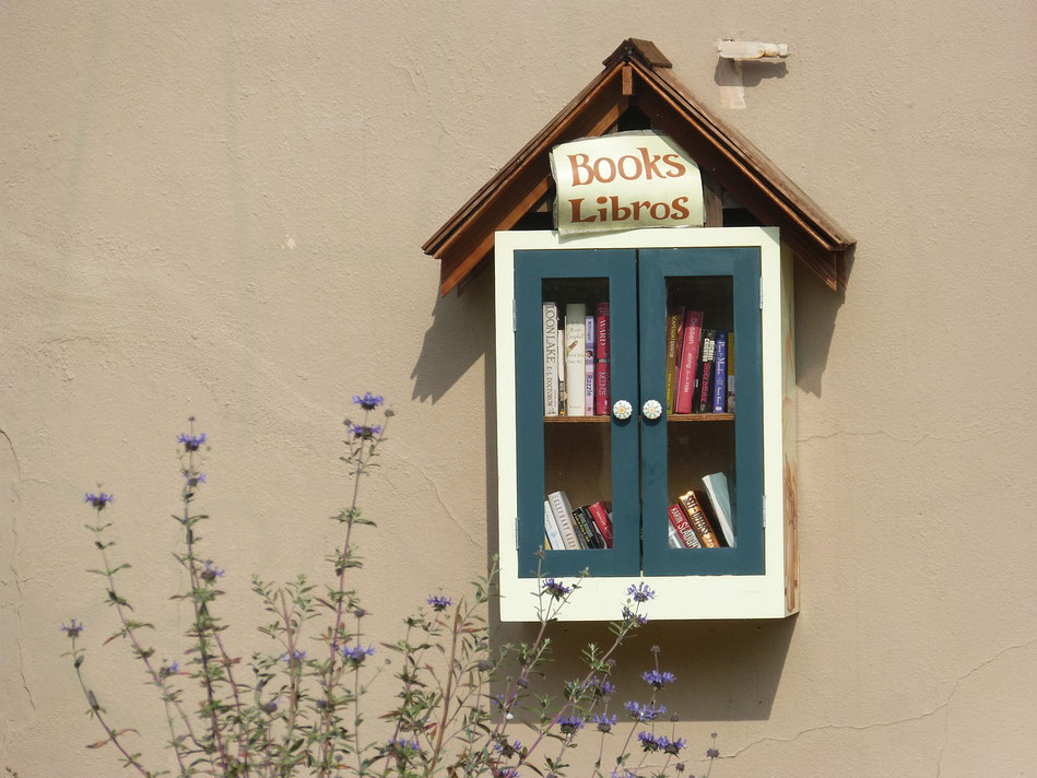 Jolie bibliothèque accrochée à un mur, hôtel à oiseaux ou à livres