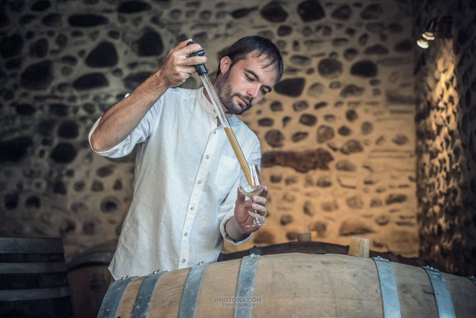 C'est à la rencontre du Jurançon, que j'ai été reçu par Jeremy, pour une séance photo professionnelle en extérieur, dans ses vignes à Lucq de Béarn. Photographe Photonat'on dans le 64 .