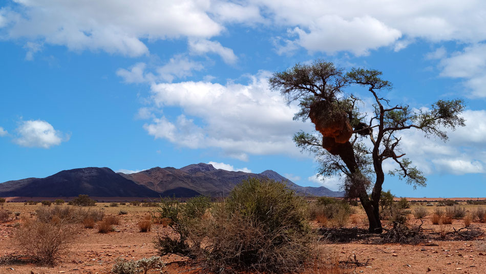 Le Namib Naukluft, Namibie, photo non libre de droits