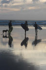 Standing on wet sand that reflects the sky, three wetsuited figures carrying surfboards walk towards the sea.