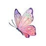 icon schmetterling