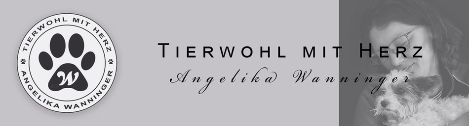 wanninger-angelikas Webseite!
