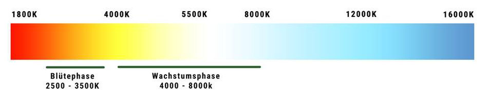 Eine Tabelle die die verschiedenen Lichtspektren Anzeigt und in welchem Lichtspektrum Blüte und Wachstum am besten Wächst