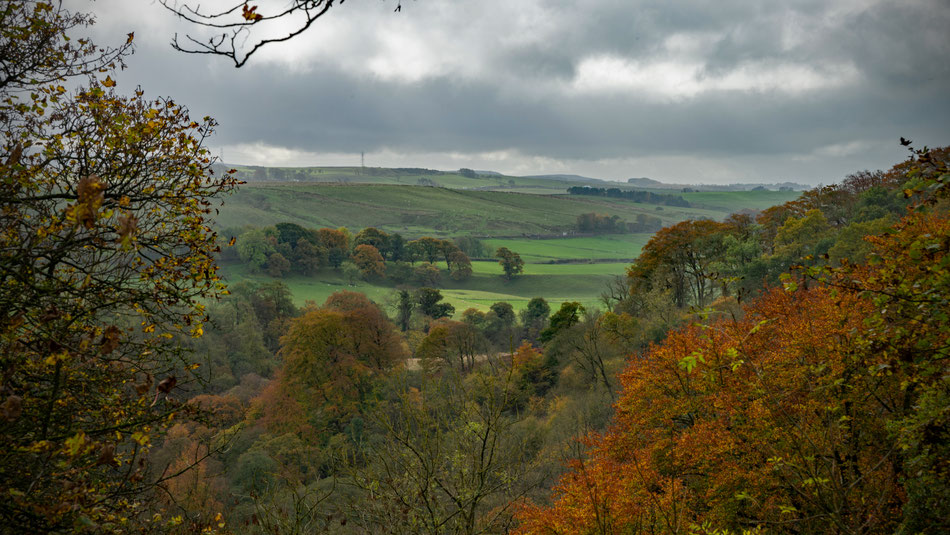 Am Hadrians Wall